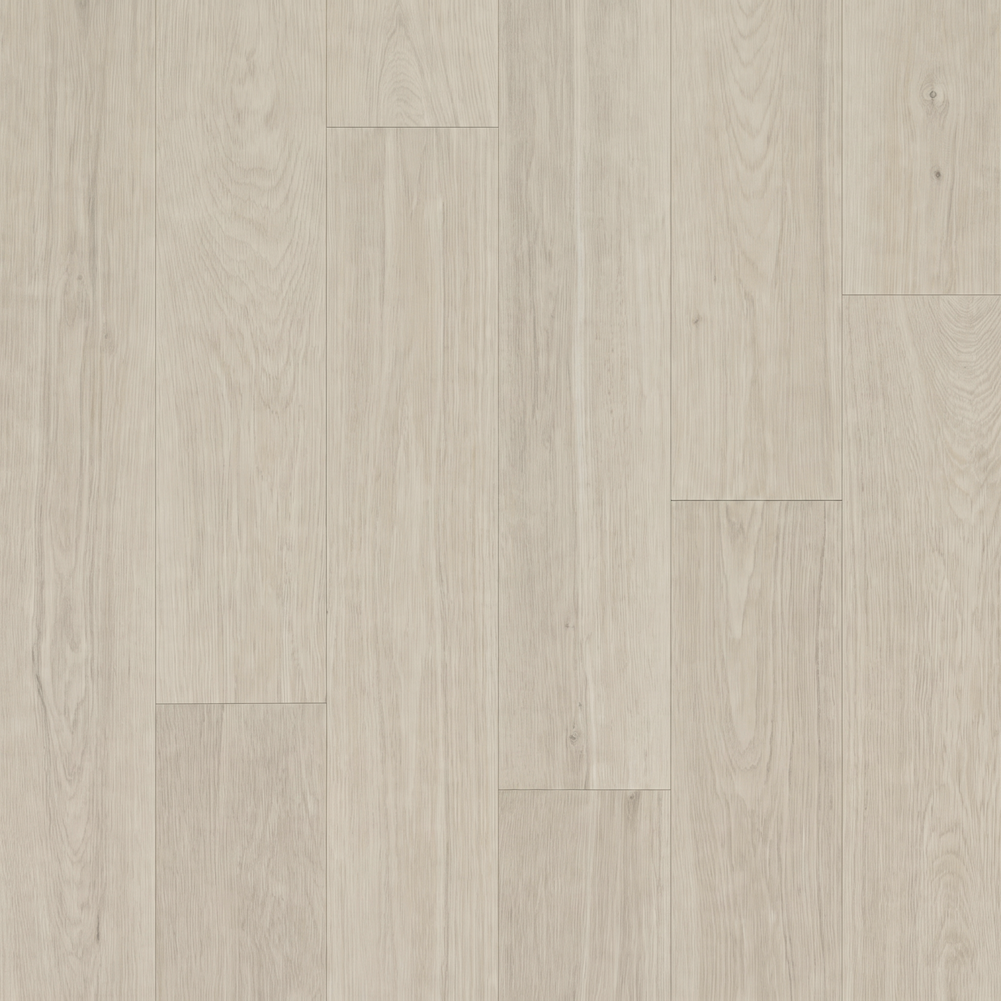 Birch