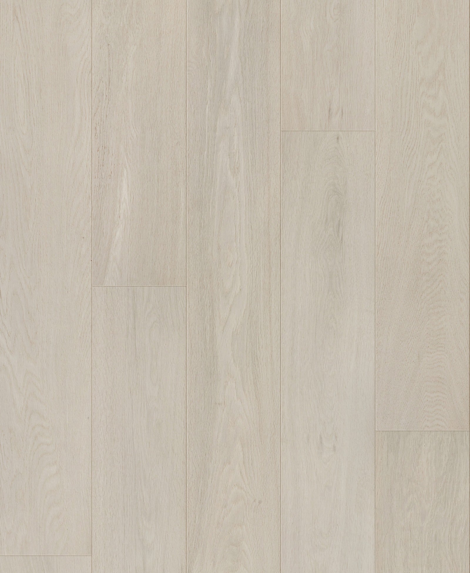 Birch